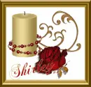 Red Rose