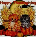 THANKSGIVING KITTENS