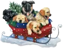 cute puppies
