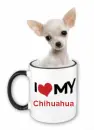 I love my chihuahua