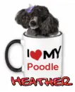 I love my poodle Heather