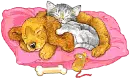 pink pillow