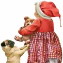baby Santa