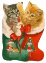kittens