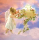 on clouds