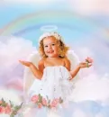 the rainbow