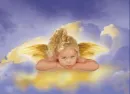 angel