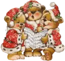 singing bears