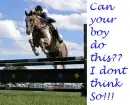Horses rock