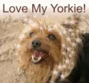 love yorkie