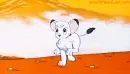 Kimba the white lion