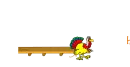 Shauna Turkey