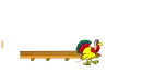 Nikki Turkey