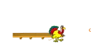 Roni Turkey