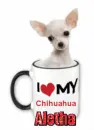 chihuahua Aletha