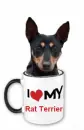 i love my rat terrier