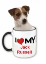 i love my jack russell