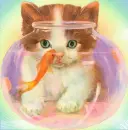 cute kitty