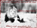 Twilight Lion/Lamb