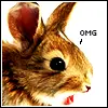 Easter - OMG Bunny