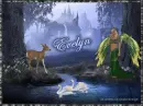 The Enchanted Wood - Evelyn