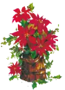 Poinsettia Plant with Sparkles