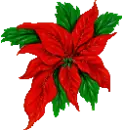Poinsettia Button