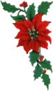 Poinsettia Button Corner Right