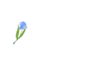 Daffodil Pen Blue - Aletha