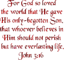 Bible Scripture John 3:16