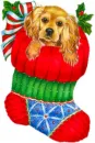 puppy in stocking