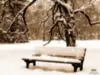 lovely winter