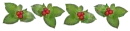 Holly Leaves & Berries 1