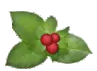Holly Leaves & Berries 3