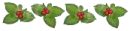 Holly Leaves & Berries 4
