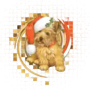 Christmas Pup