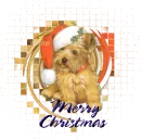 Christmas Pup - Merry Christmas