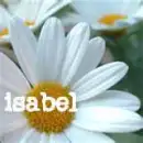 flowers.