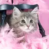 Glam Kitty