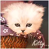 White Kitty