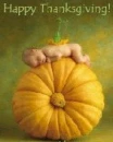 thanksgiving baby