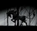 Black unicorn
