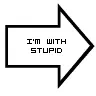 Im With Stupid