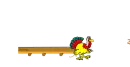 Pami Turkey