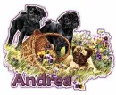 Andrea