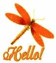 Hello~Dragonfly