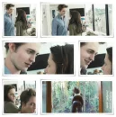 Twilight