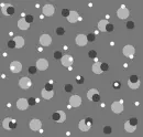 Grey Polka Dots