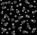 Black Polka Dots
