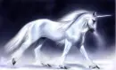 white unicorn